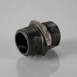 مغزی سیاه توپی برزیل